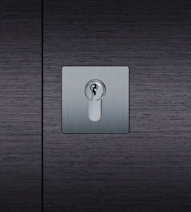 Zapuštěná rozeta zámková FSB 17 1734